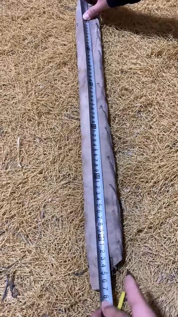 香榧木----打开长画2