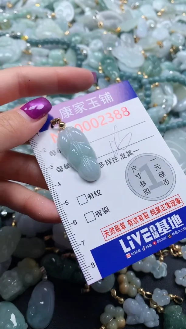 颈饰未镶嵌翡翠2388