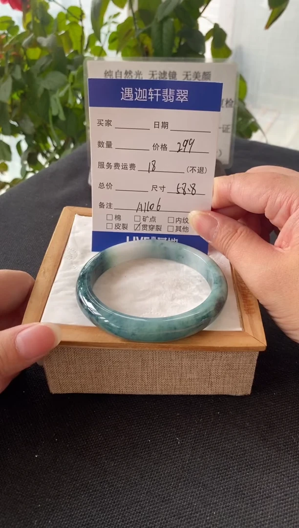 未镶嵌手镯翡翠58.8圈口 A1106编码