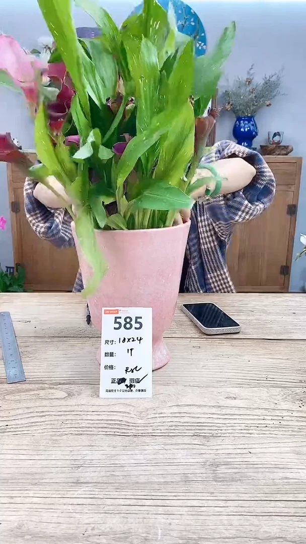 小玩子花盆编号585