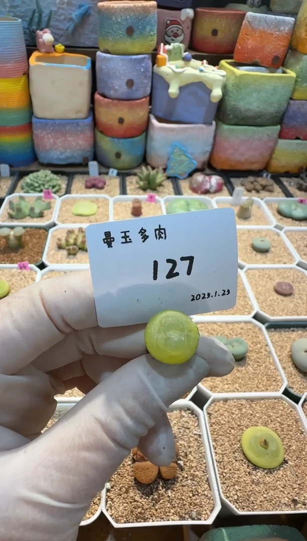 【闪购商品】25.1.25-127