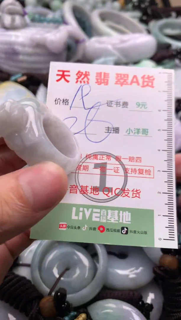 翡翠未镶嵌吊坠(不含链)1