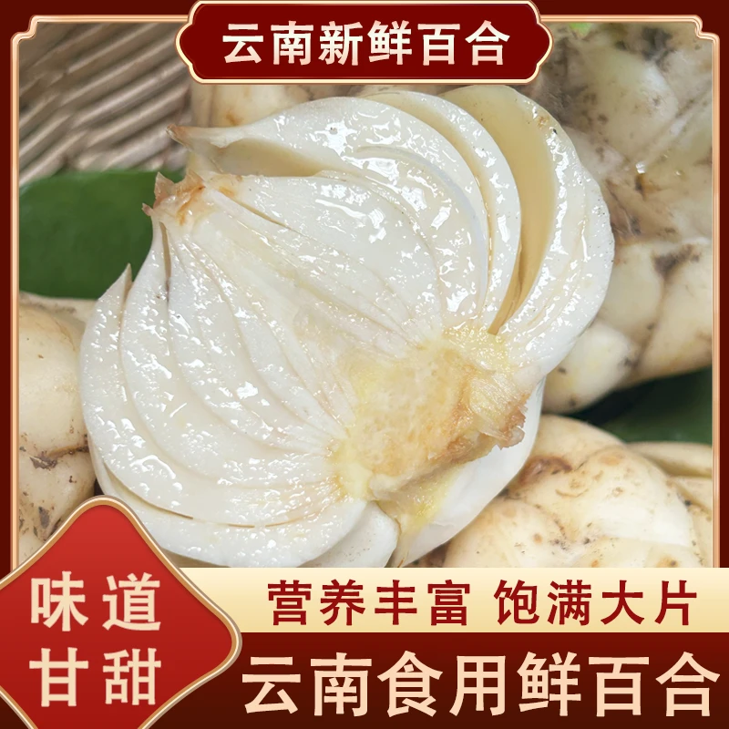 云南新鲜百合高山优质食用百合甜糯百合现挖现发煲汤佳品高营养