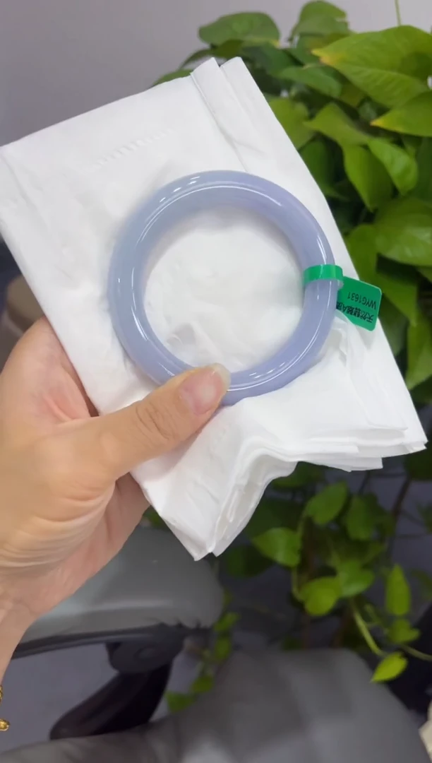 未镶嵌手镯翡翠0000029