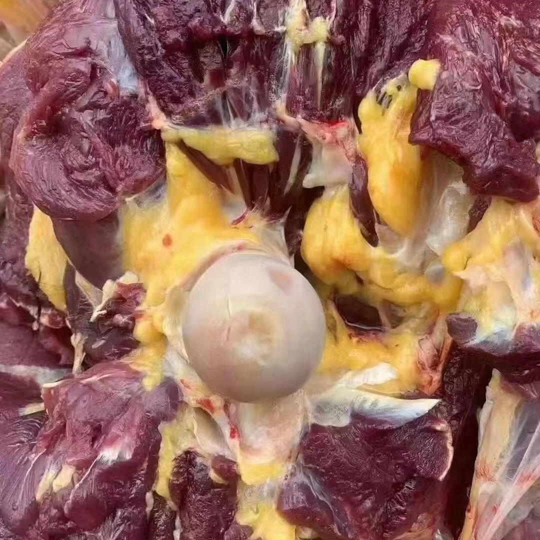 生鲜5斤纯草膘黄膘牦牛后腿肉鲜切黄膘有淡淡奶香味牛肉新鲜