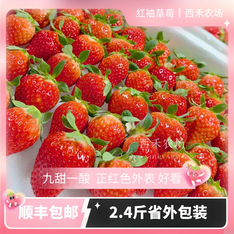 【西禾红袖草莓】全国可发 九甜一酸 新鲜2.4斤坏果包赔顺丰包邮