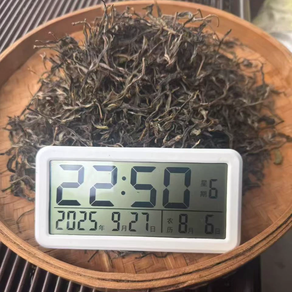 【1868号】老板娘2025年小户赛红土地古树普洱茶生茶春100克 9月27