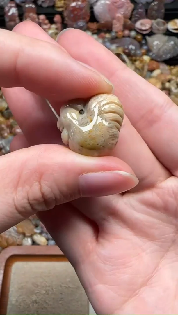 颈饰未镶嵌硅化珊瑚（珊瑚玉）485