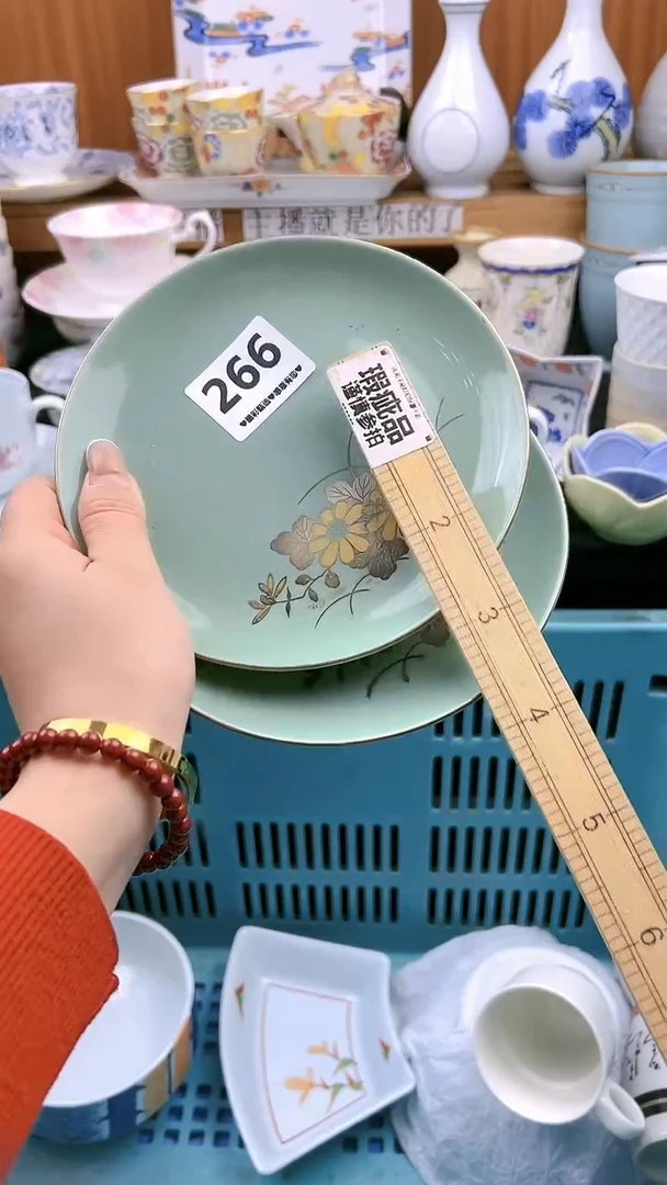 【闪购商品】瓷片266 微瑕漏价出介意勿拍