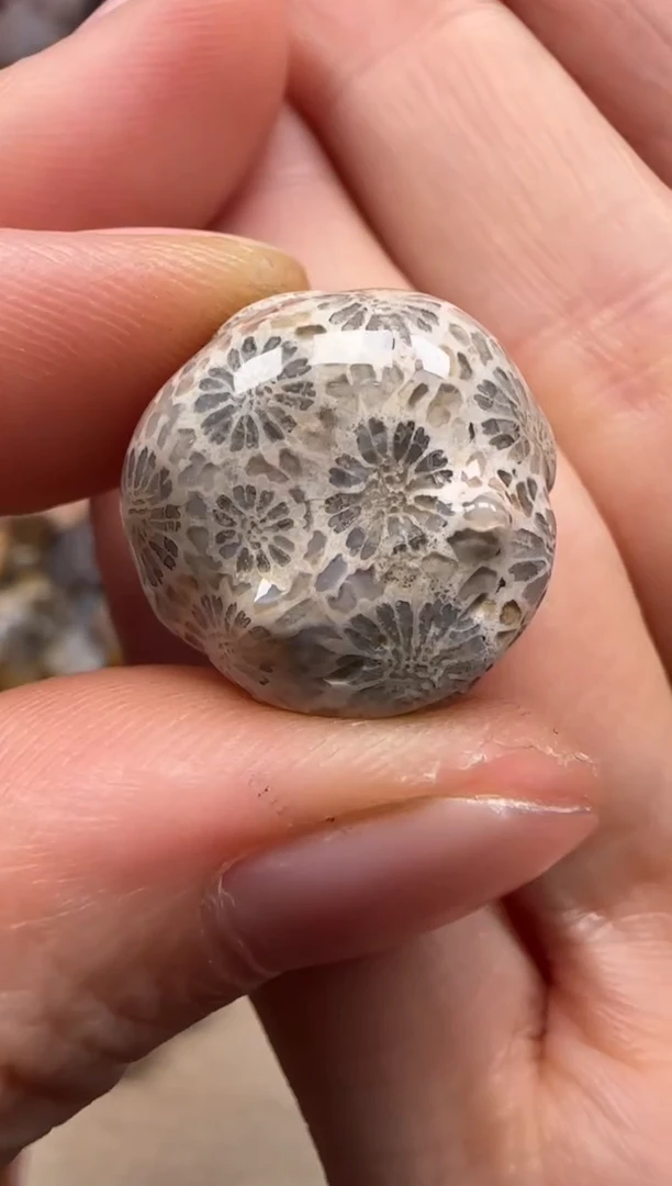 【闪购商品】硅化珊瑚（珊瑚玉）颈饰未镶嵌687