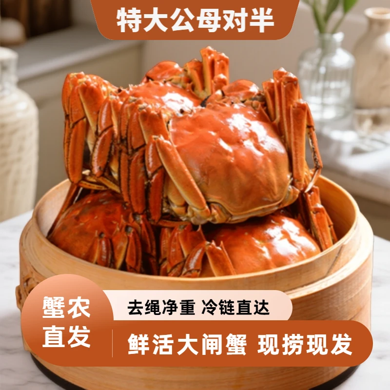 【活蟹】兴化大闸蟹河蟹3斤装规格4两母蟹+5两公蟹7-10只装精品