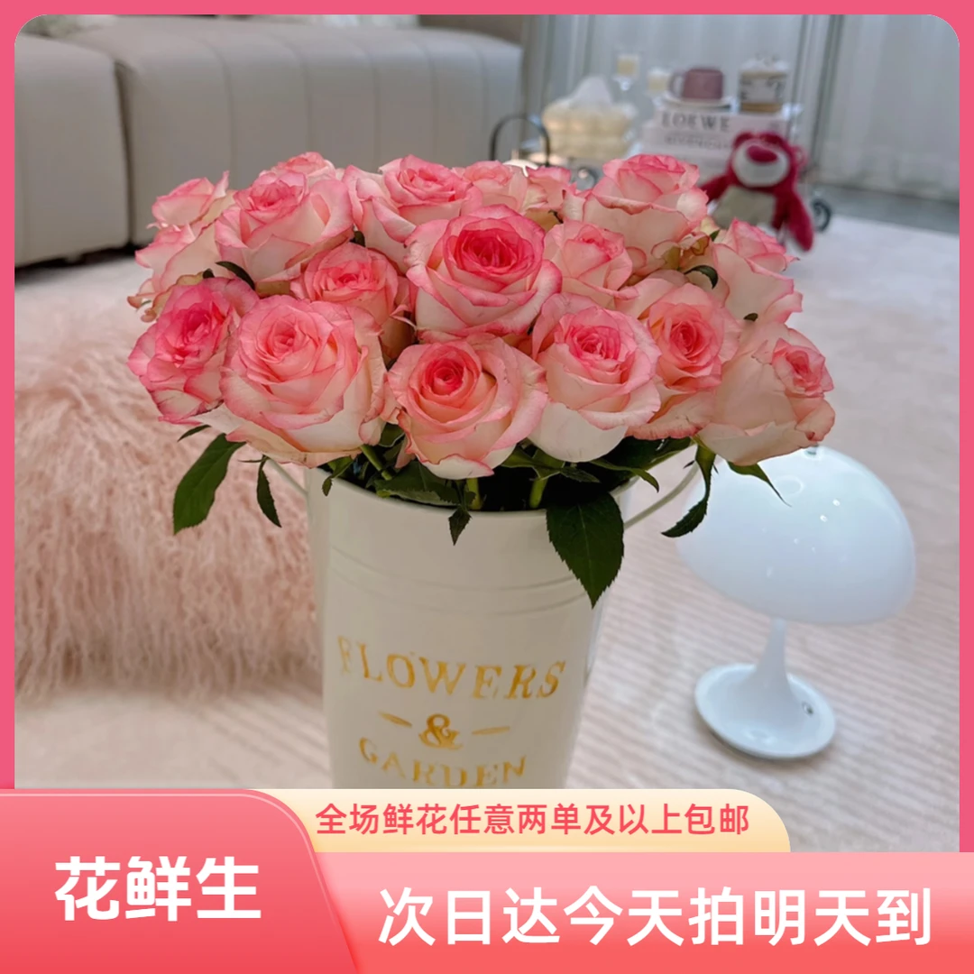 【艾莎玫瑰次日达】（微微开放度）家居用花日达鲜花花店同款送人送礼今天拍明天到