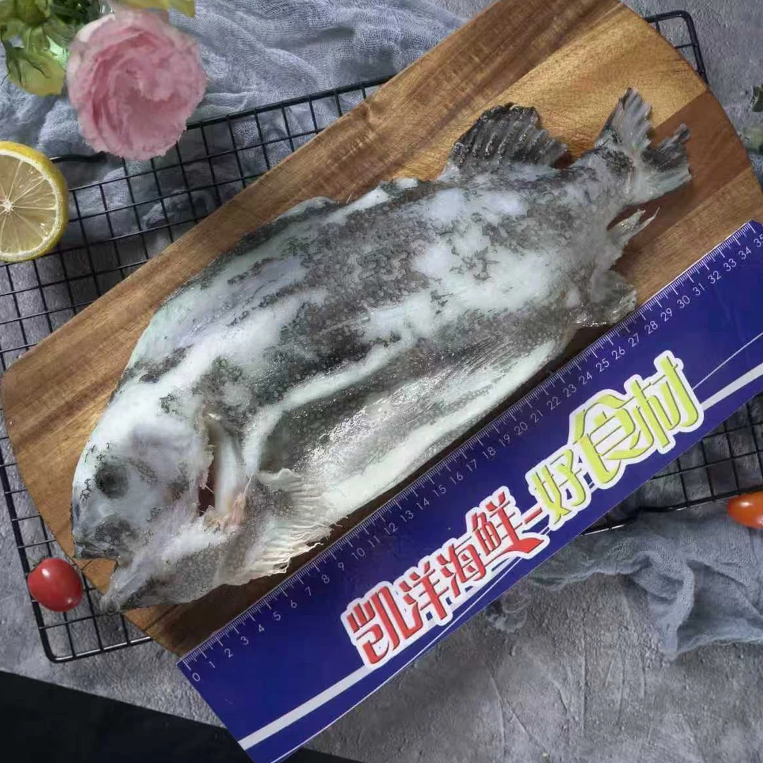 【凯洋海鲜】海参斑辽宁大连发货顺丰包邮