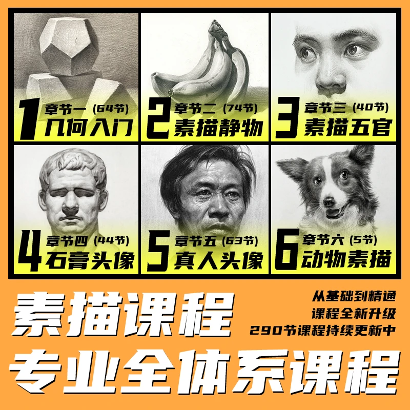 [安卓版]专业素描全体系课程