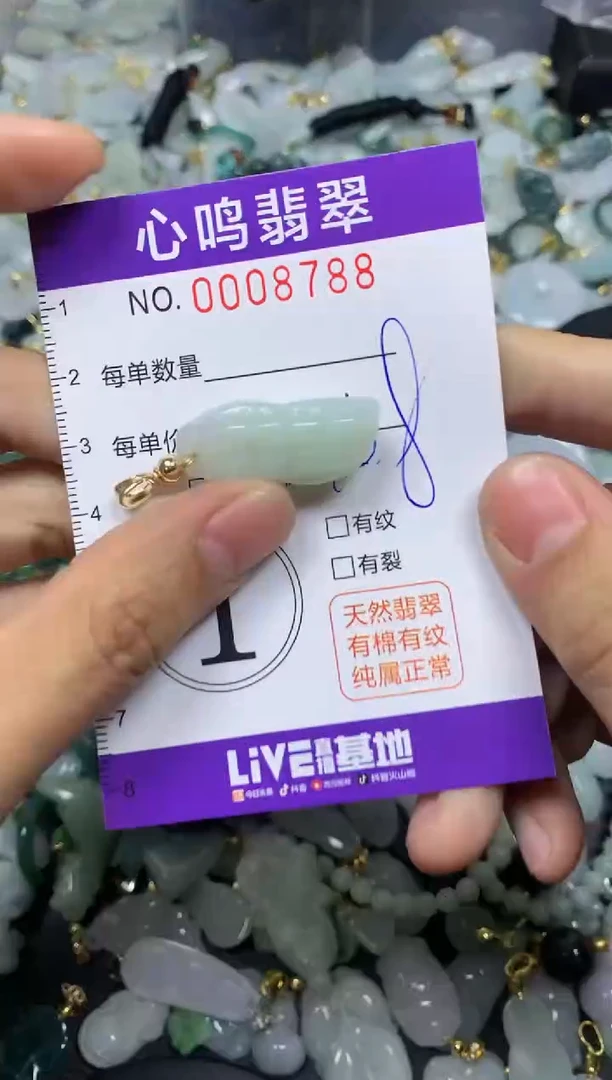 【闪购商品】翡翠颈饰未镶嵌闪购008788