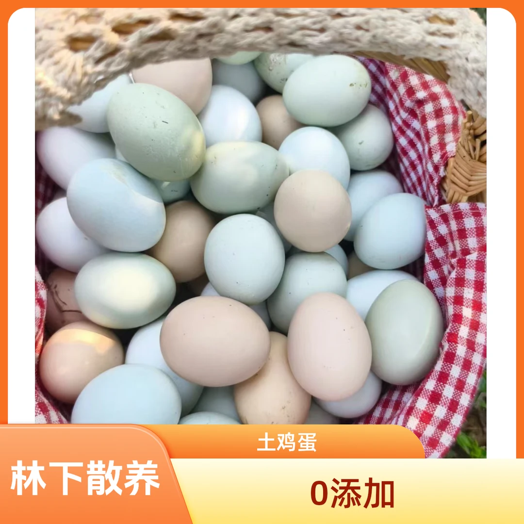 青鸳家0添加散养土鸡蛋