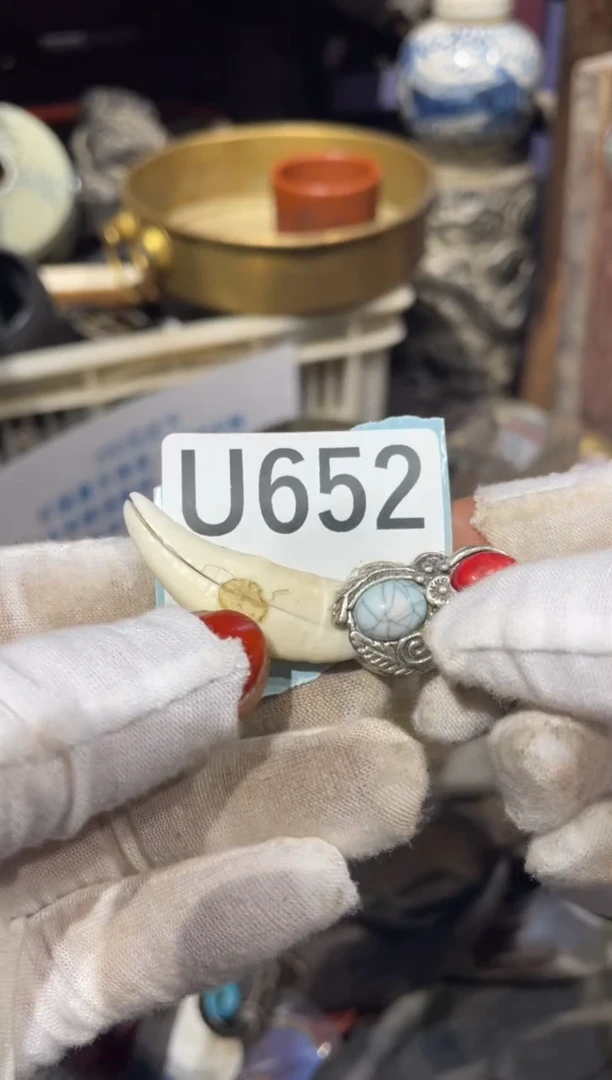 瓷片表姐直播链接火爆火爆