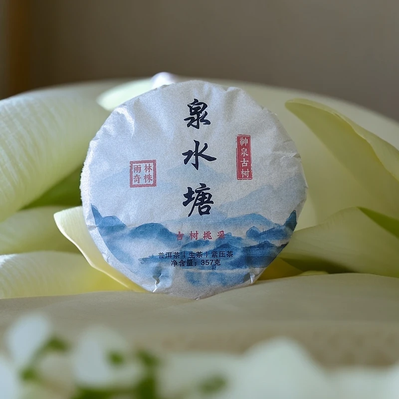 2023年泉水塘 神泉古树 雨林奇株古树挑采普洱生茶饼357克y3号
