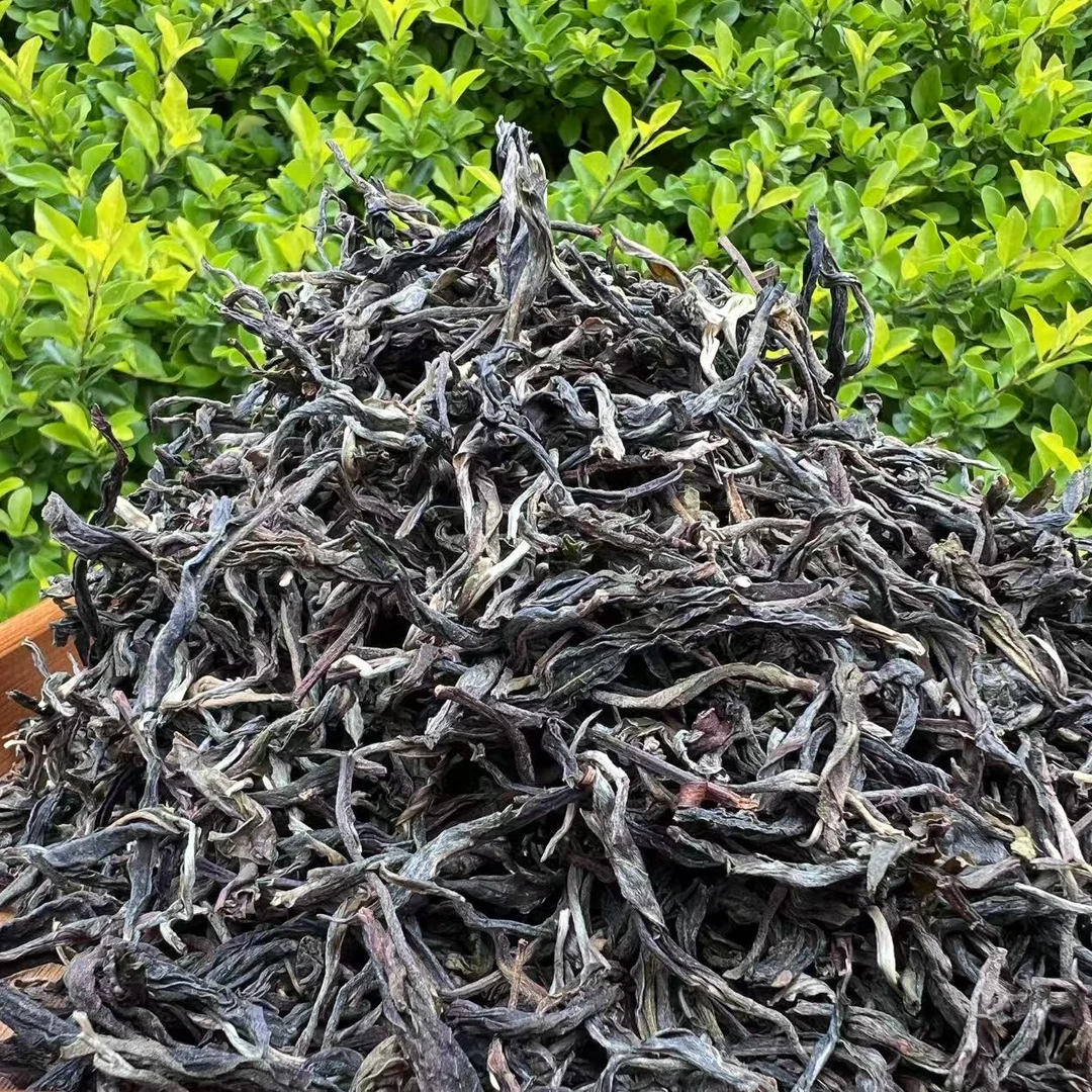 【陈高明-邦东乡曼岗大箐组18号】2024年古树春茶生茶散料可试喝