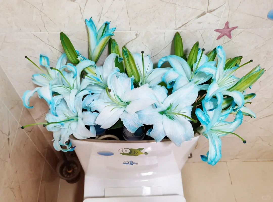 云南木木花卉吸色梦幻蓝海单瓣百合清香型浪漫鲜花渐变感家用礼品