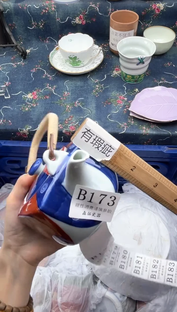 瓷片          B173