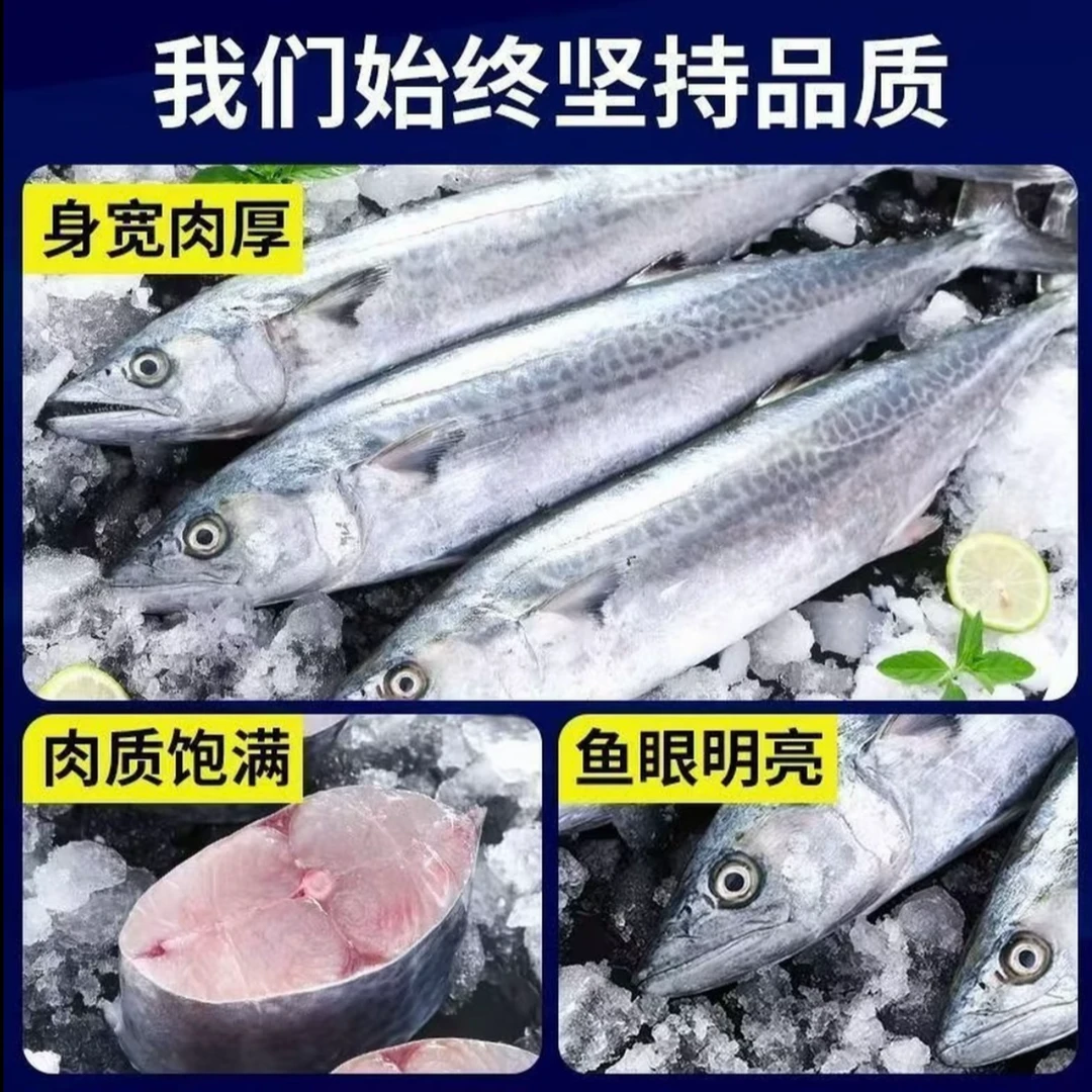 【大连燕鲅鱼】新鲜海捕鲅鱼 小船海鲜 燕鲅 小船海鱼 运输途中略有破肚现象 介意勿拍