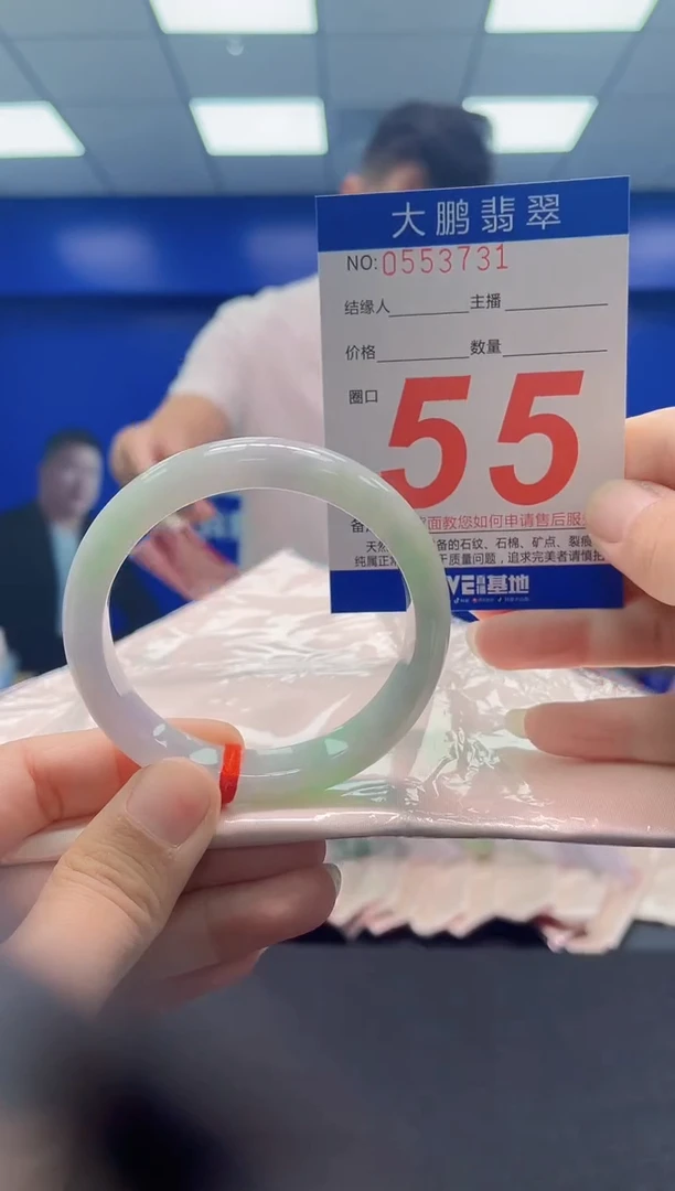 未镶嵌手镯翡翠AAAAAAAAA