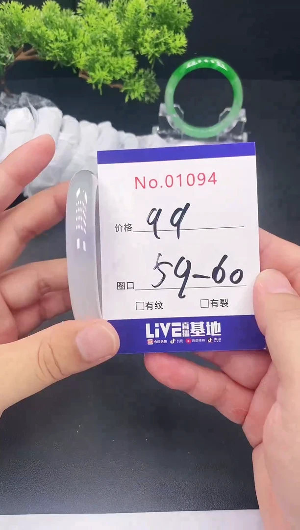 未镶嵌手镯翡翠1094