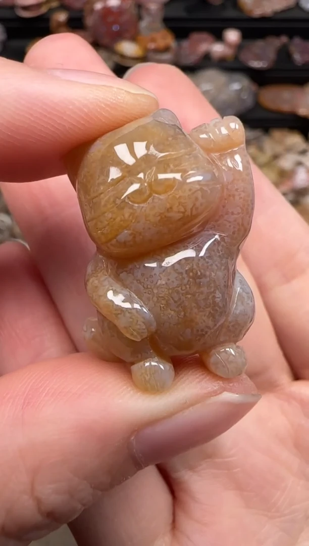 硅化珊瑚（珊瑚玉）未镶嵌颈饰281