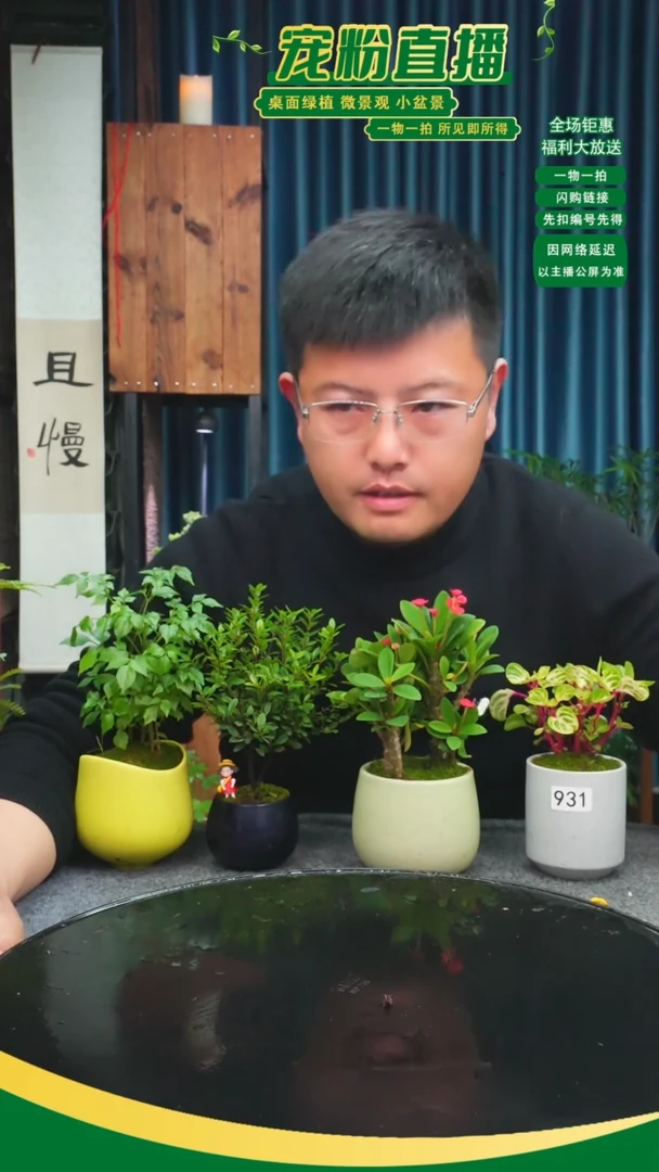 无花朵家**崽苔藓微景观931号