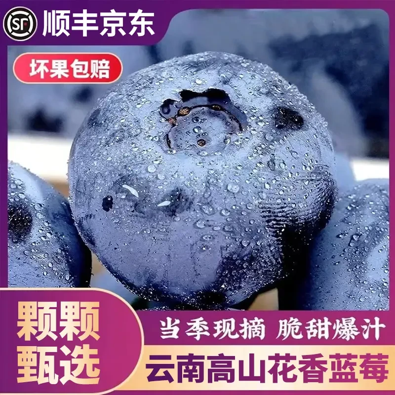 【顺丰包邮】云南花香蓝莓15mm-18mm现摘现发应季水果肉厚脆甜