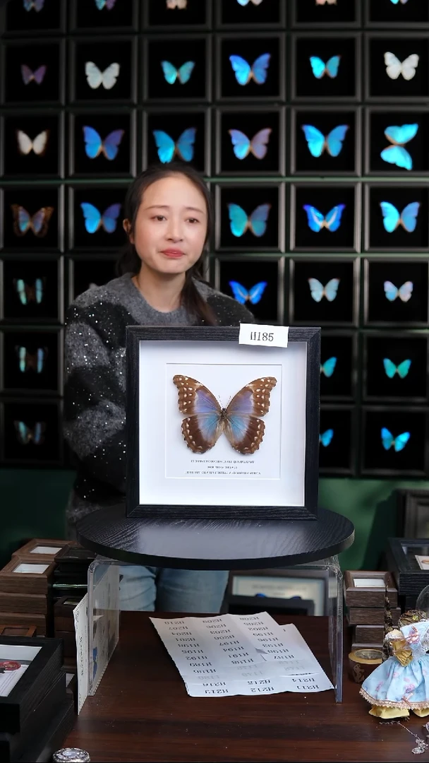蝴蝶标本摆件竞拍H1185
