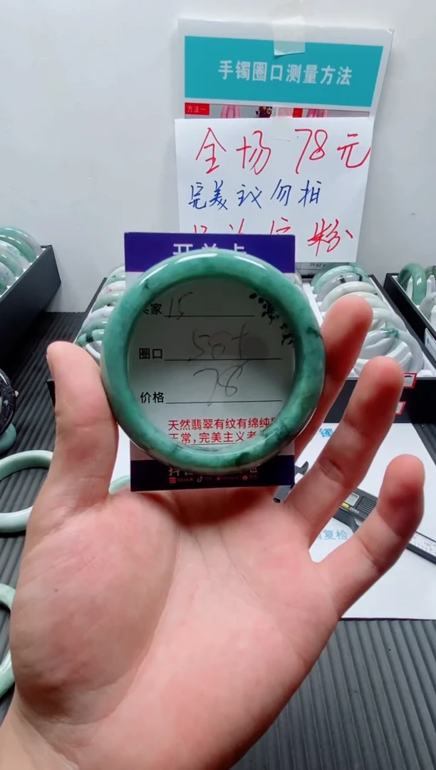 未镶嵌手镯翡翠15