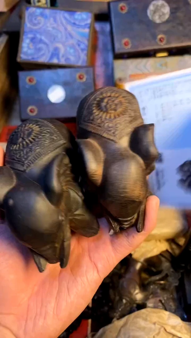 【闪购商品】主播推荐主播推荐