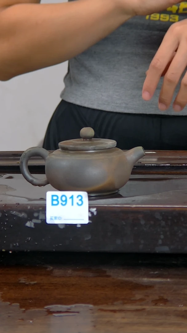 坭兴陶贵台龙窑B913