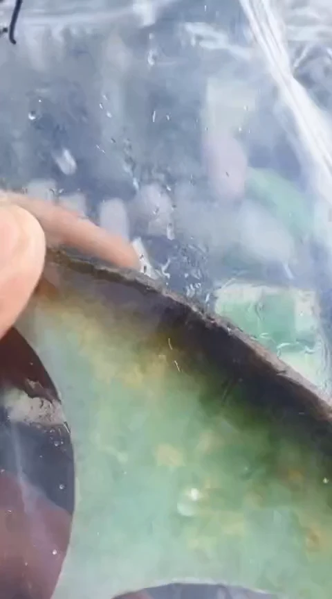 颈饰未镶嵌翡翠至**道027