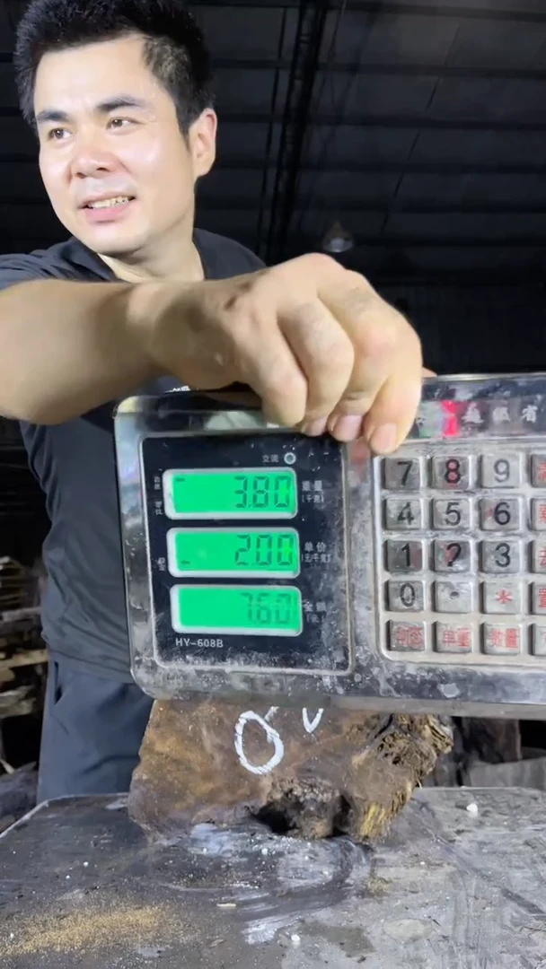 金丝楠金丝楠木小叶桢楠60