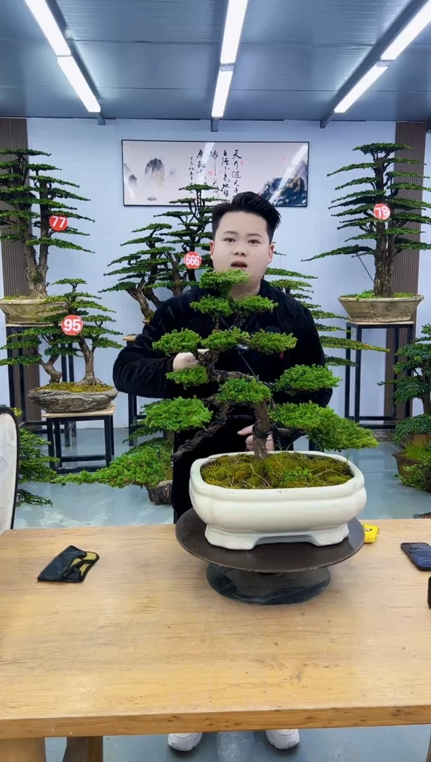 以实际为准0000000