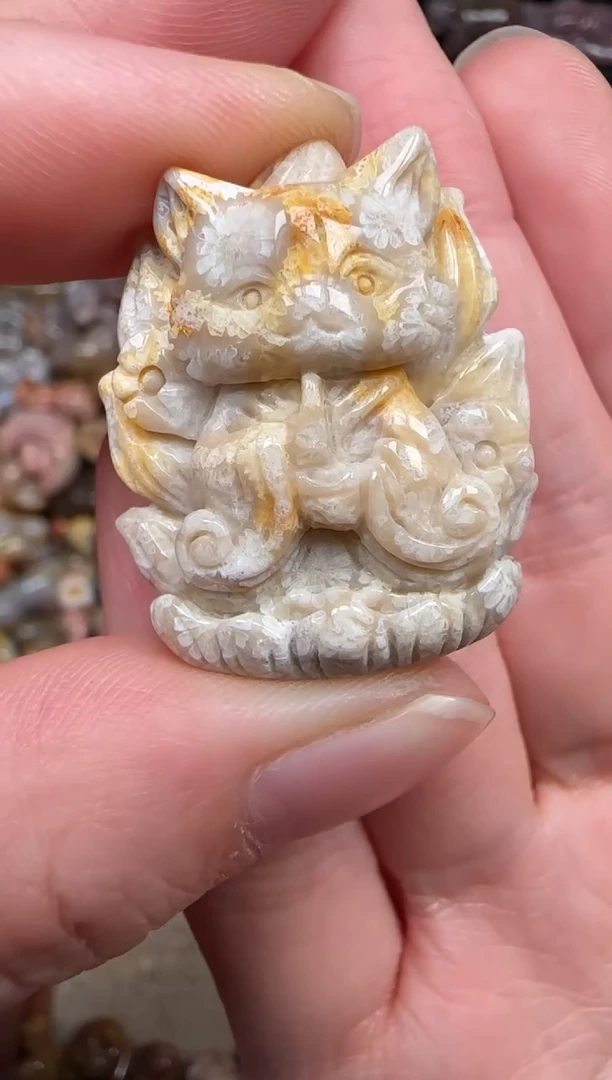 硅化珊瑚（珊瑚玉）未镶嵌颈饰781