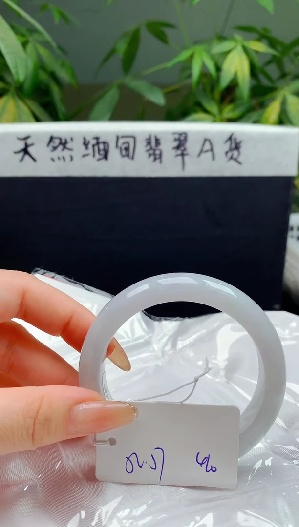 未镶嵌手镯翡翠131