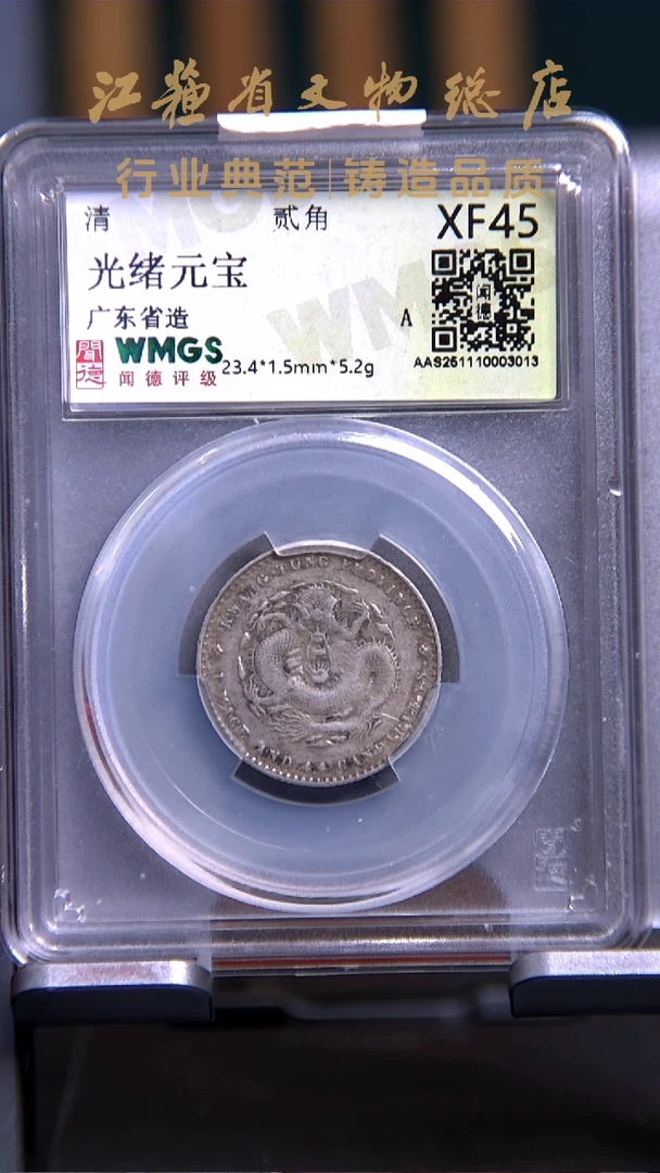 银X0262*3013*光绪元宝/贰角/XF45