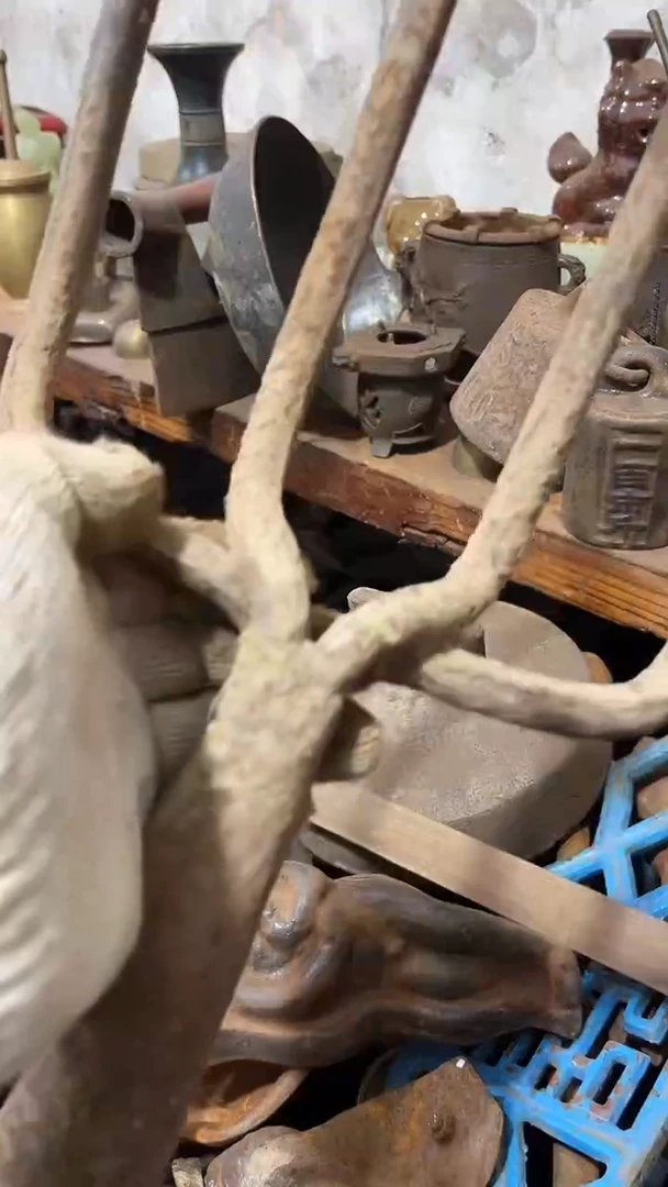 d****r隆江直播新人带货