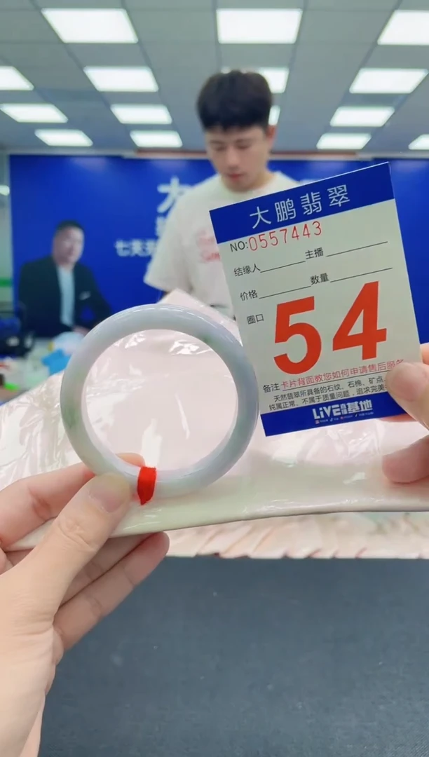 未镶嵌手镯翡翠AAAAAAAAA