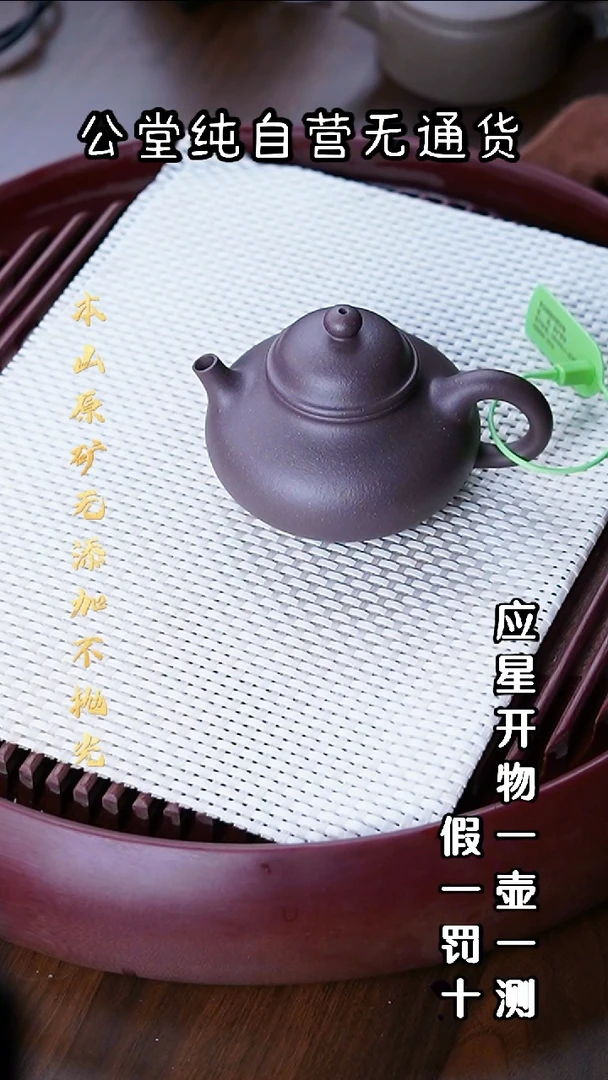 茶壶紫砂大水潭天青泥 容天 190cc