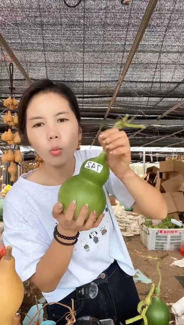 742天然葫芦摆件 一物一拍龙头不保售后