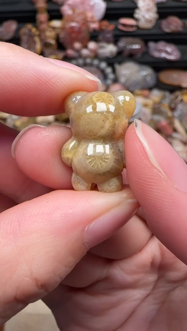 颈饰未镶嵌硅化珊瑚（珊瑚玉）734