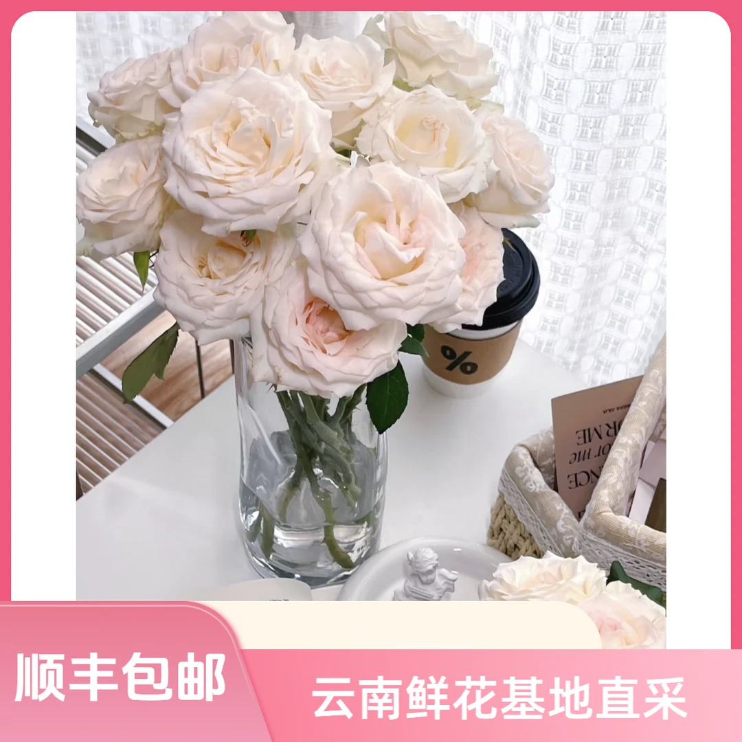 【花喜甄选】小白兔20支单头玫瑰云南鲜花基地现摘现发鲜切花