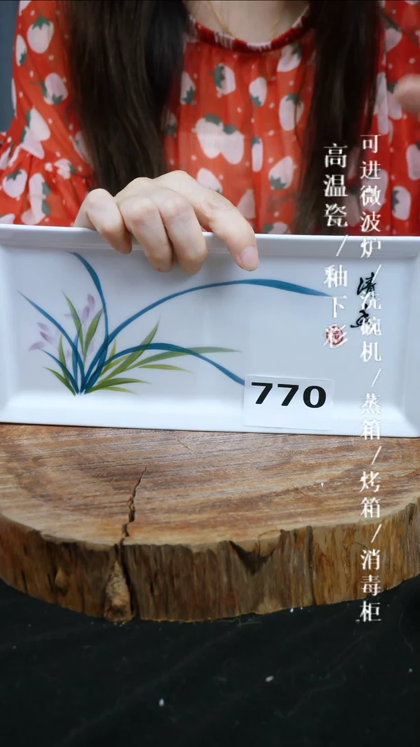 其他高温瓷（长方盘）077