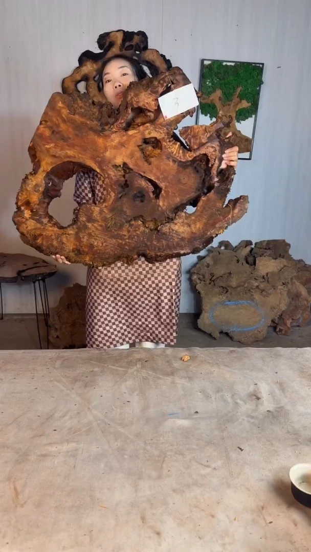 香杉木木头款杉木瘤挂件【原料】003