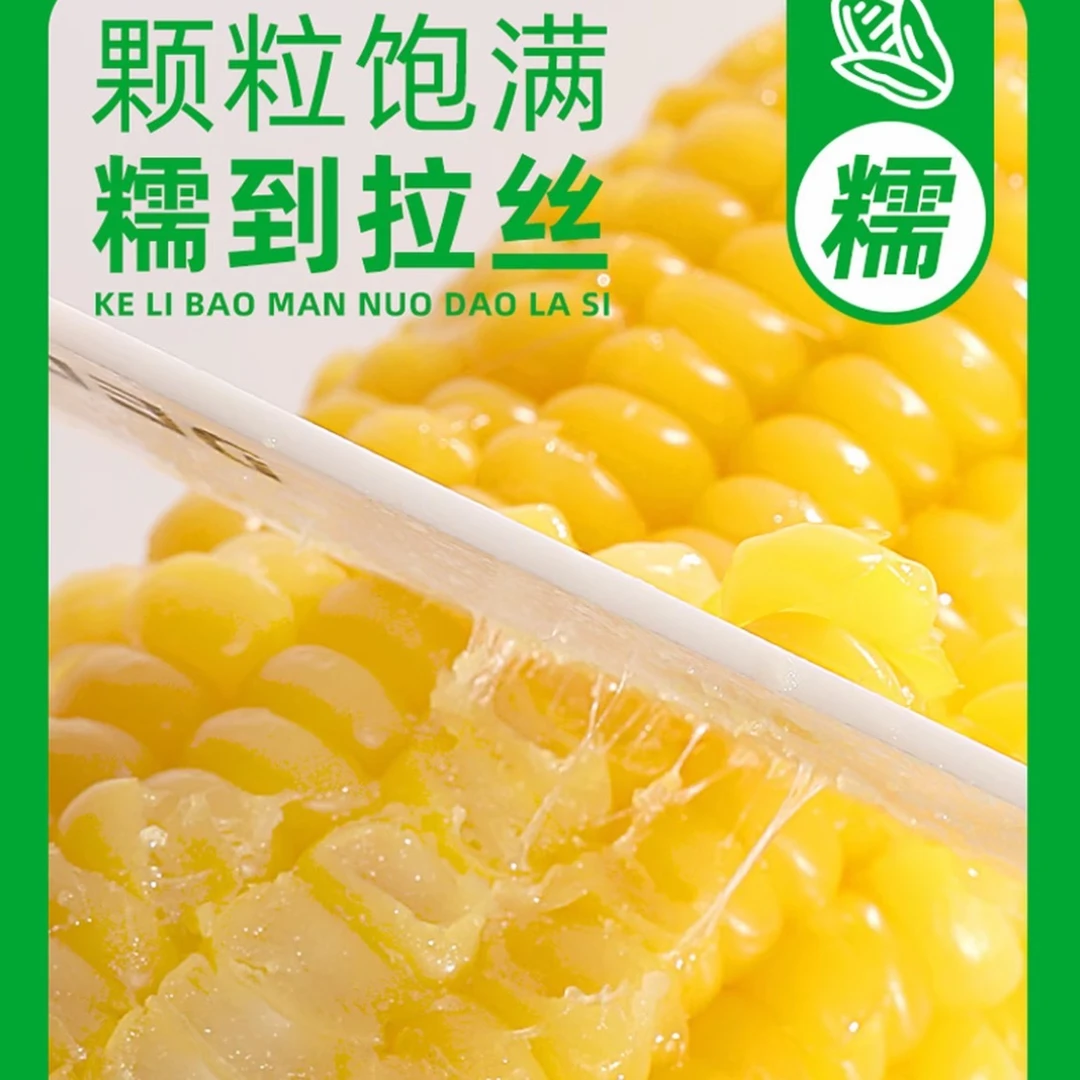 【整箱15根含试吃六根】黄糯玉米香甜黏糯真空独立包装整箱原产直发